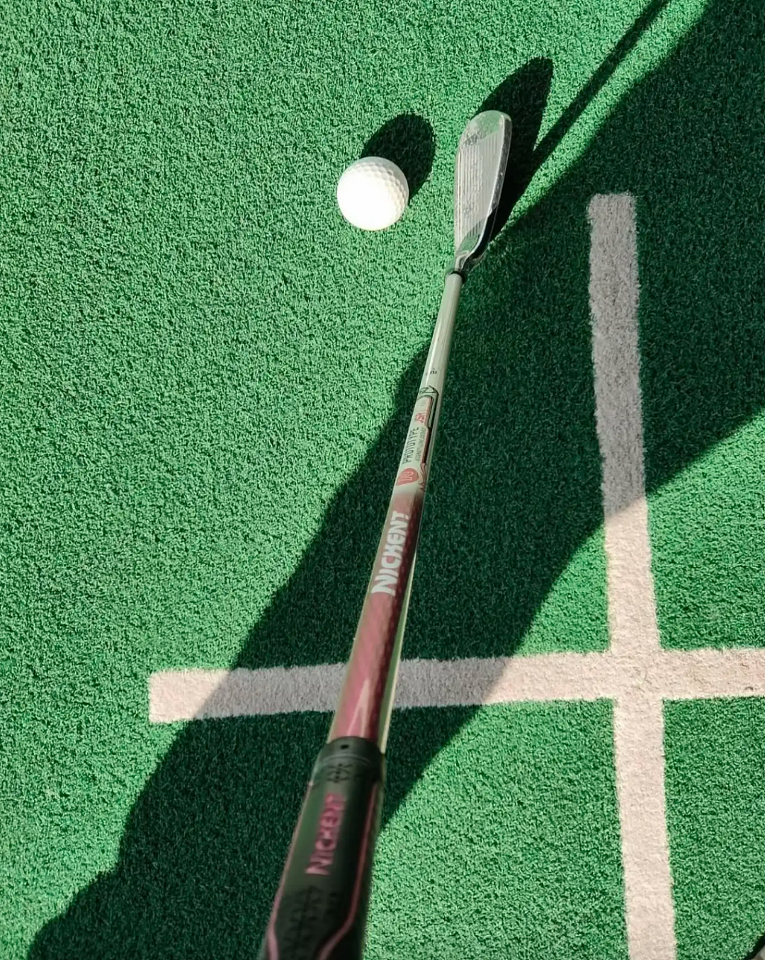 又一条“北极鲶鱼”?她炫家产十亿、晒外交护照,还说“公务员安排进体制根本不用考”(组图) - 25