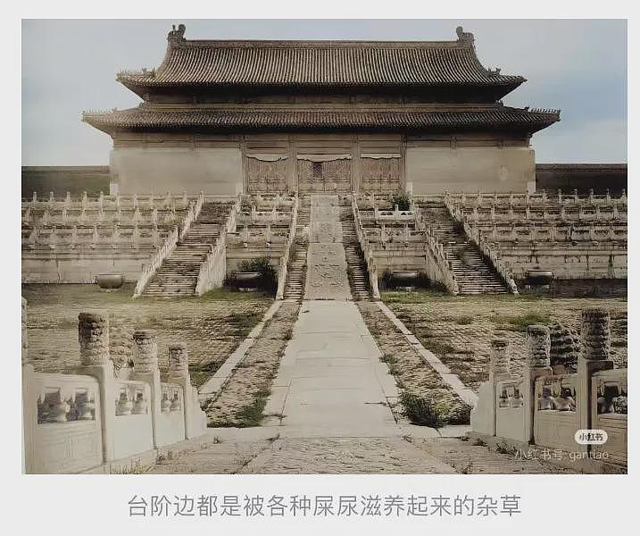 好脏好乱好多老鼠，百年前照片曝故宫真相（组图） - 10
