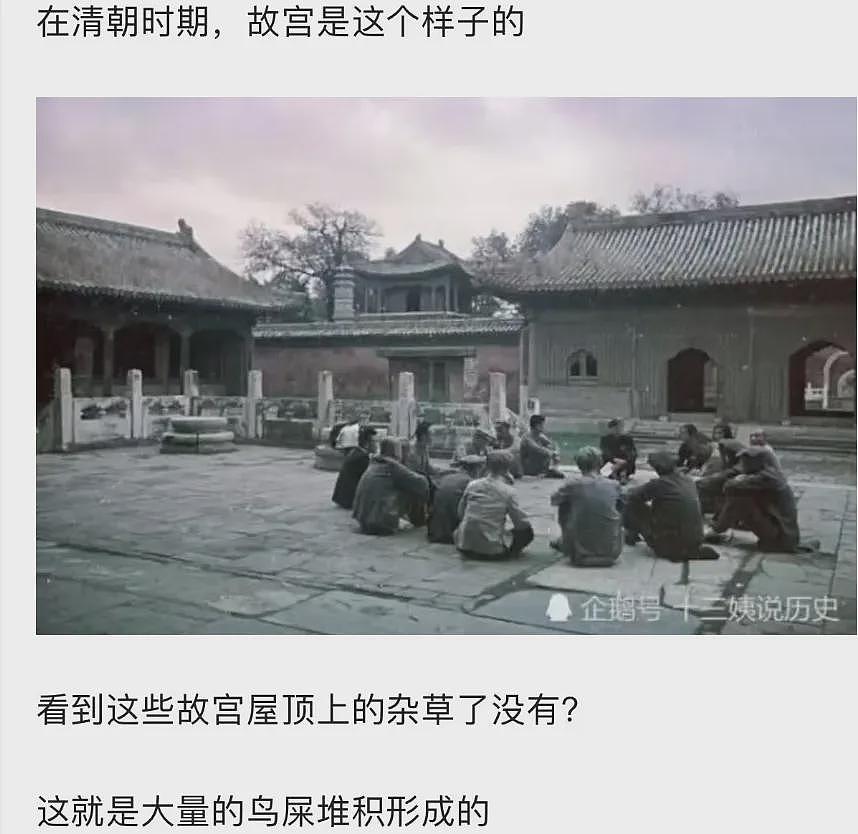 好脏好乱好多老鼠，百年前照片曝故宫真相（组图） - 3