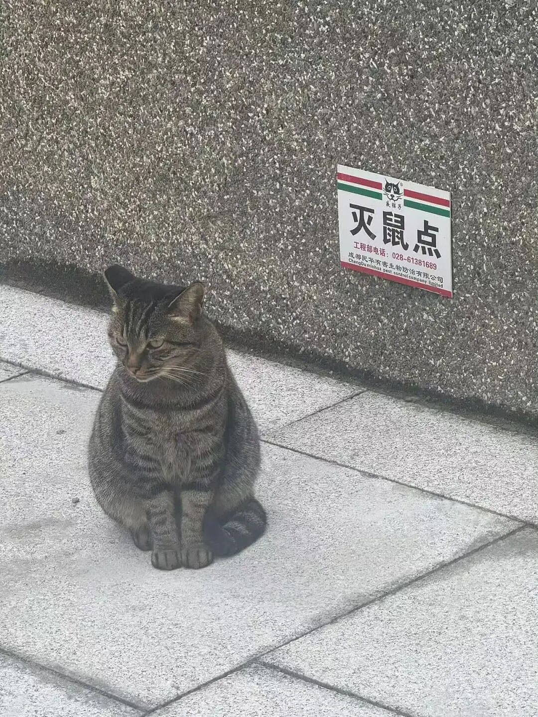 【爆笑】“在大厂工作感觉自己像被包养了?”啊啊啊娇牛马与娇妻文学合二为一集大成之作!(组图) - 31