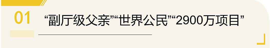 又一条“北极鲶鱼”?她炫家产十亿、晒外交护照,还说“公务员安排进体制根本不用考”(组图) - 3