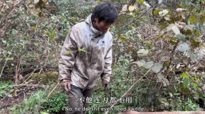 消失了十几年的“野人”，正被这景区批量制造（组图） - 8