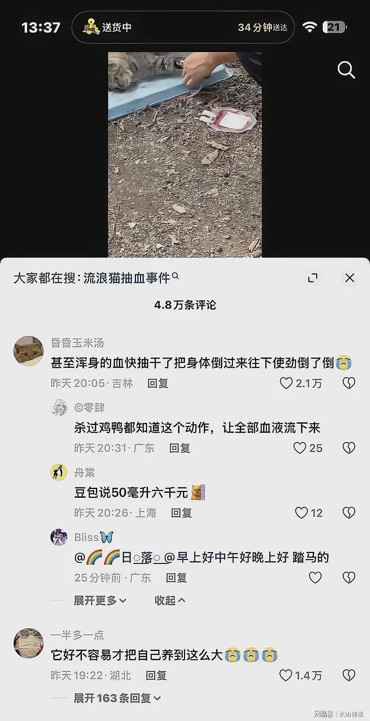 恐怖!网传有人把流浪猫当血猫,抽完血就扔,一只可以赚2400元…(组图) - 3