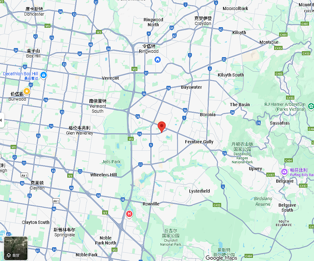 悲剧！墨东Wantirna South，11岁女孩死亡、4岁男孩生命垂危（组图） - 2