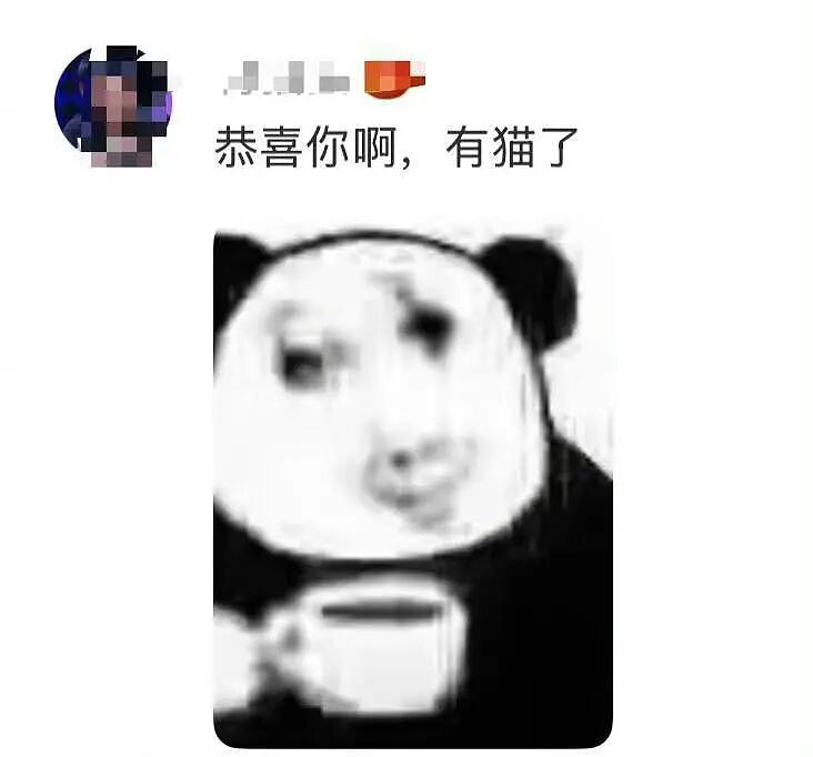 【爆笑】“两块钱的烤肠被网恋对象觉得我圈钱…?”啊啊啊我是真拿你们没招了(组图) - 62