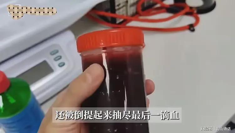 恐怖!网传有人把流浪猫当血猫,抽完血就扔,一只可以赚2400元…(组图) - 4