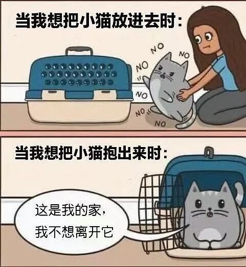 【爆笑】“在大厂工作感觉自己像被包养了？”啊啊啊娇牛马与娇妻文学合二为一集大成之作（组图） - 48