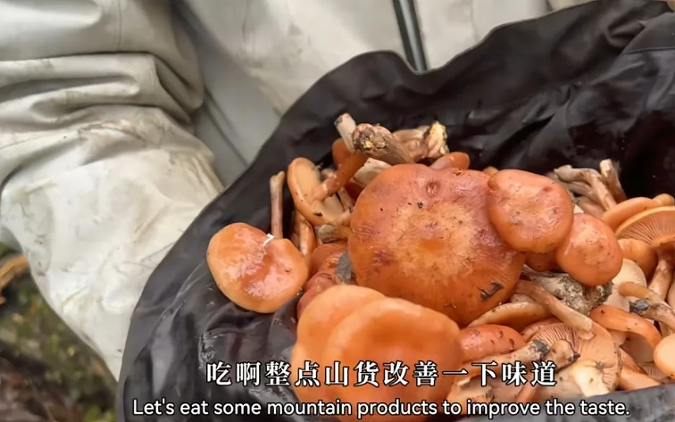 消失了十几年的“野人”，正被这景区批量制造（组图） - 4