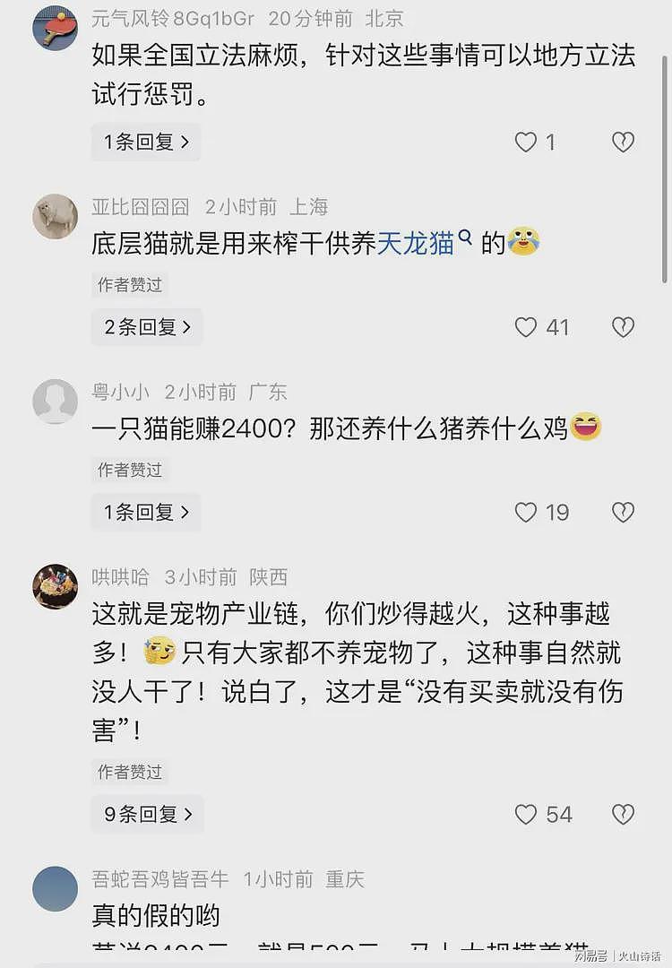 恐怖!网传有人把流浪猫当血猫,抽完血就扔,一只可以赚2400元…(组图) - 6