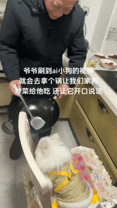 【宠物】主人给边牧买了一捆香肠，那一刻边牧好像下定了某个决心，两眼一瞪就是干：冲（视频/组图） - 20