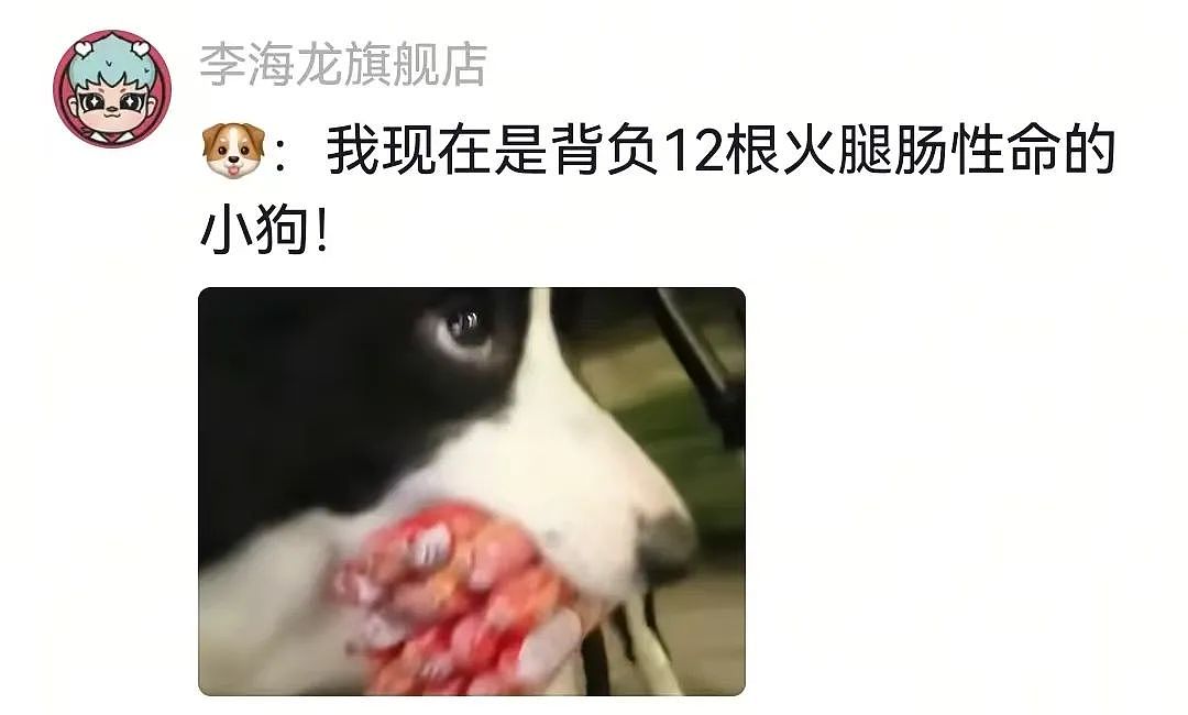 【宠物】主人给边牧买了一捆香肠，那一刻边牧好像下定了某个决心，两眼一瞪就是干：冲（视频/组图） - 6
