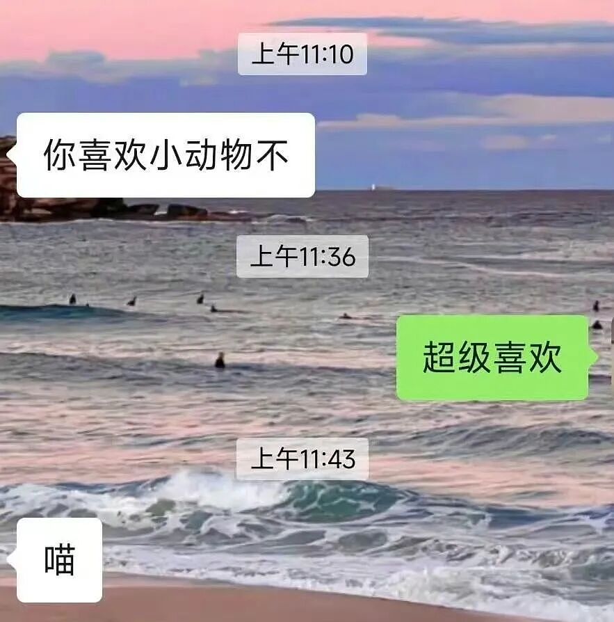 【爆笑】“两块钱的烤肠被网恋对象觉得我圈钱…?”啊啊啊我是真拿你们没招了(组图) - 60