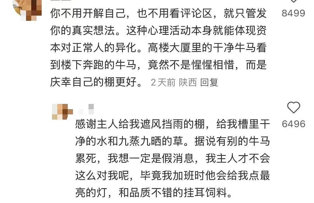 【爆笑】“在大厂工作感觉自己像被包养了？”啊啊啊娇牛马与娇妻文学合二为一集大成之作（组图） - 13