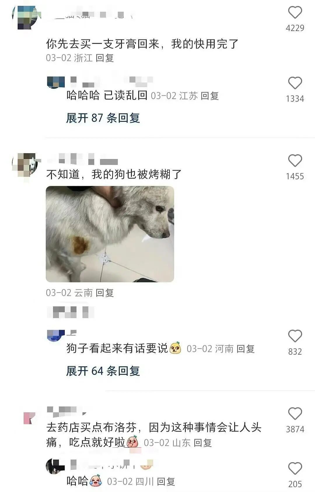 【爆笑】“在大厂工作感觉自己像被包养了？”啊啊啊娇牛马与娇妻文学合二为一集大成之作（组图） - 86