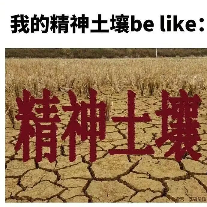 【爆笑】“两块钱的烤肠被网恋对象觉得我圈钱…?”啊啊啊我是真拿你们没招了(组图) - 78