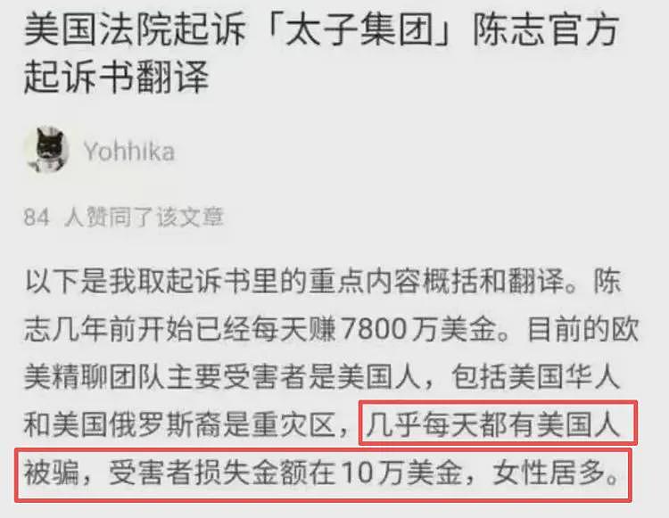 美国的一纸诉状，揭开了陈志和太子集团迄今为止最详尽内幕（组图） - 3
