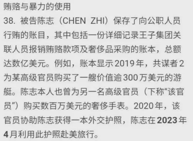 美国的一纸诉状，揭开了陈志和太子集团迄今为止最详尽内幕（组图） - 12