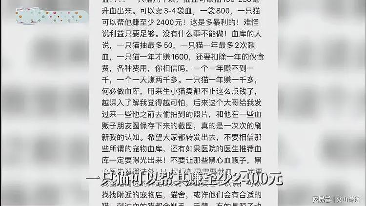 恐怖!网传有人把流浪猫当血猫,抽完血就扔,一只可以赚2400元…(组图) - 1