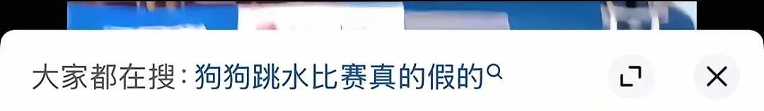 【宠物】主人给边牧买了一捆香肠，那一刻边牧好像下定了某个决心，两眼一瞪就是干：冲（视频/组图） - 19