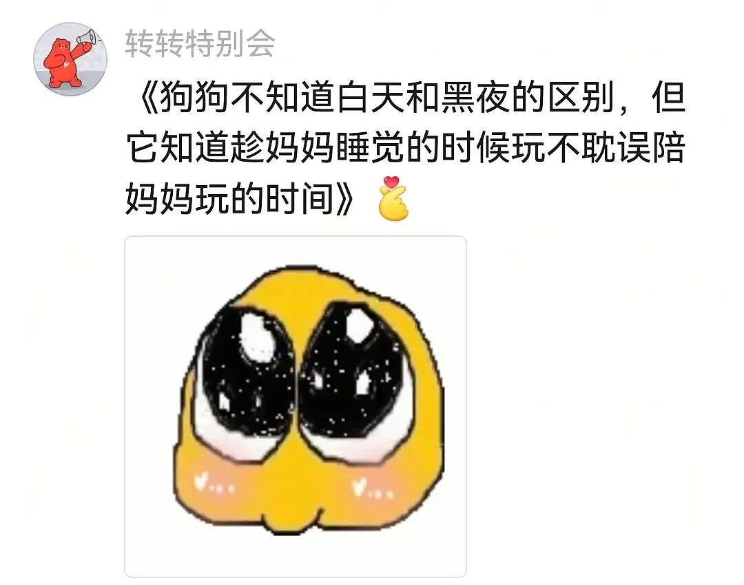 【宠物】主人给边牧买了一捆香肠，那一刻边牧好像下定了某个决心，两眼一瞪就是干：冲（视频/组图） - 13