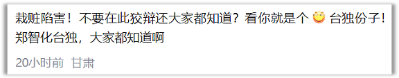 郑智化致歉上热搜！是否“连滚带爬”不该是重点（组图） - 7