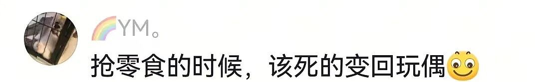 【宠物】主人在狗子生日当天将玩偶换成了好朋狗，狗子肉眼可见兴奋…网友们却眼红了：这是一个恐怖故事（组图） - 13