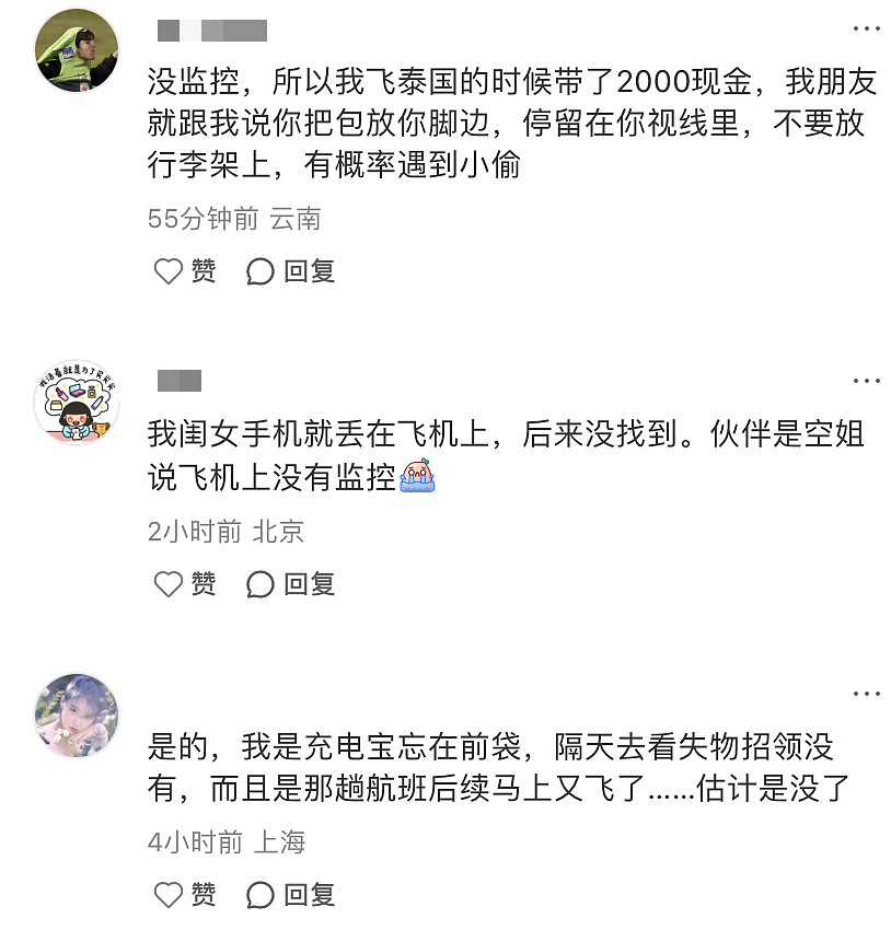 警惕！华人惊爆“国际航班偷窃猖狂”，亲眼目睹“团伙翻包”！没监控+没证据+没办法，网友提醒：这些人都别信（组图） - 2