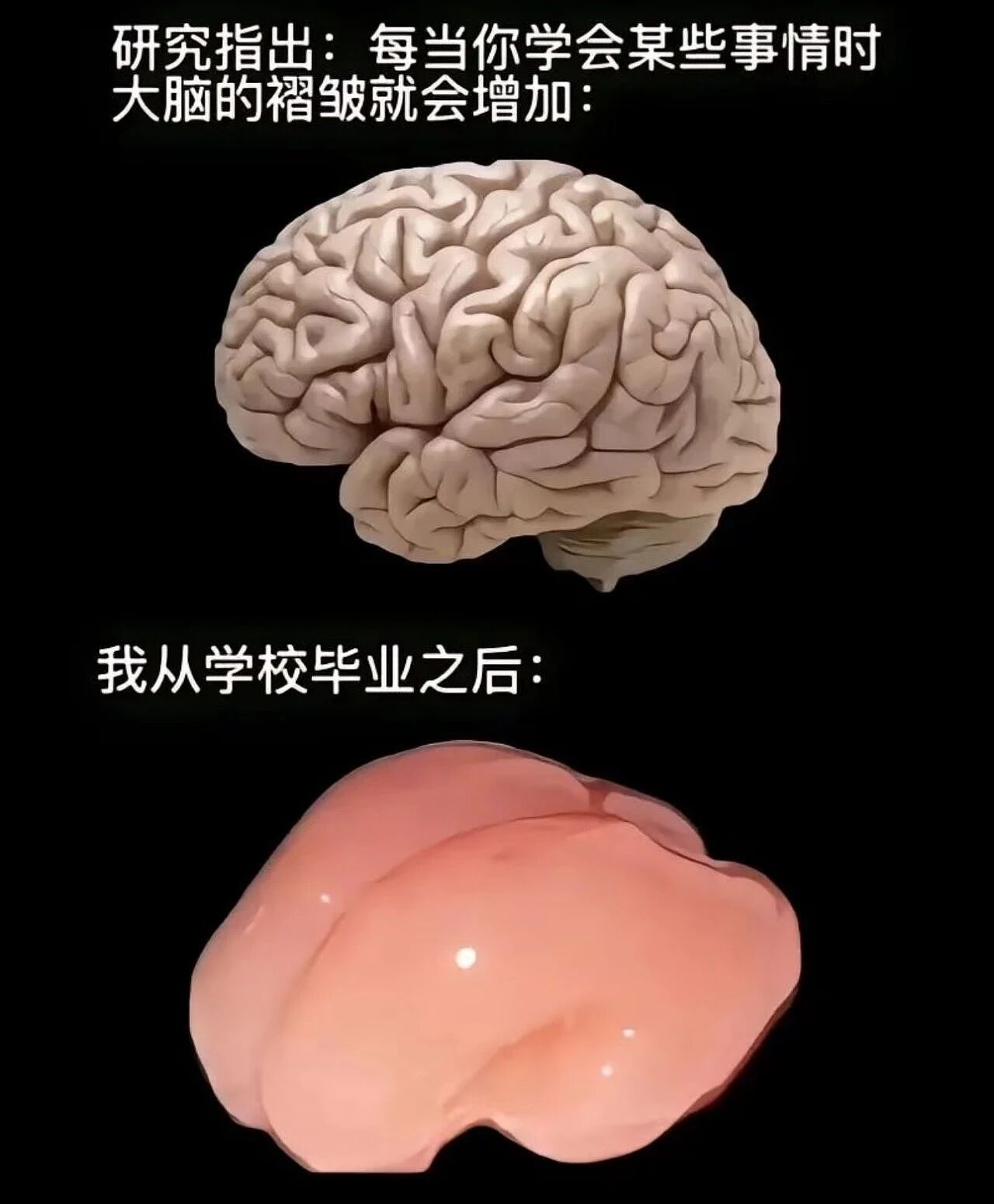 【爆笑】“网友的弱智发言能有多癫狂?” 哈哈哈哈哈哈哈哈笑得腹肌痛(组图) - 39