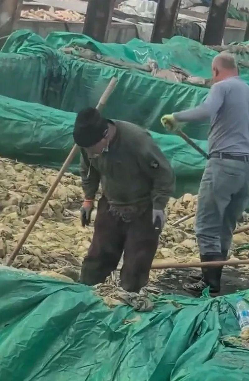 超恶心！辽宁酸菜工人边抽烟还乱吐，影片流出网炸锅（视频/组图） - 2