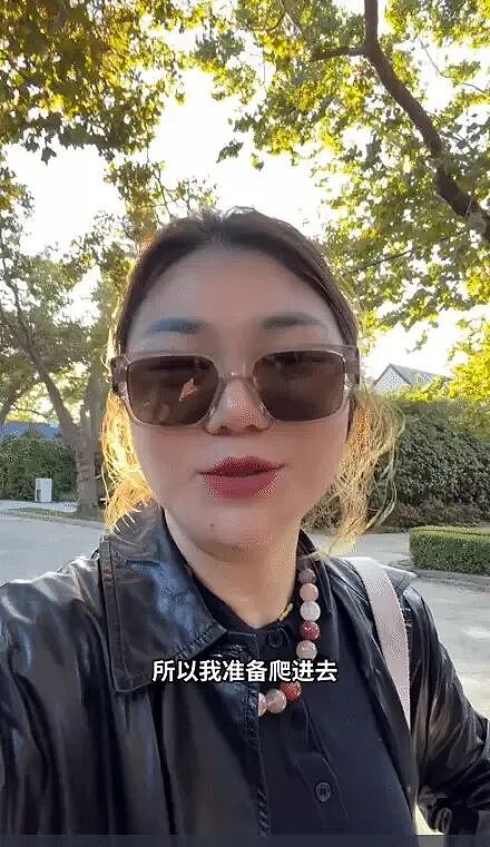 “我打不开我的特斯拉了,但是我打开了后备箱所以准备爬进去……”杨天真吐槽,客服回应(视频/组图) - 1