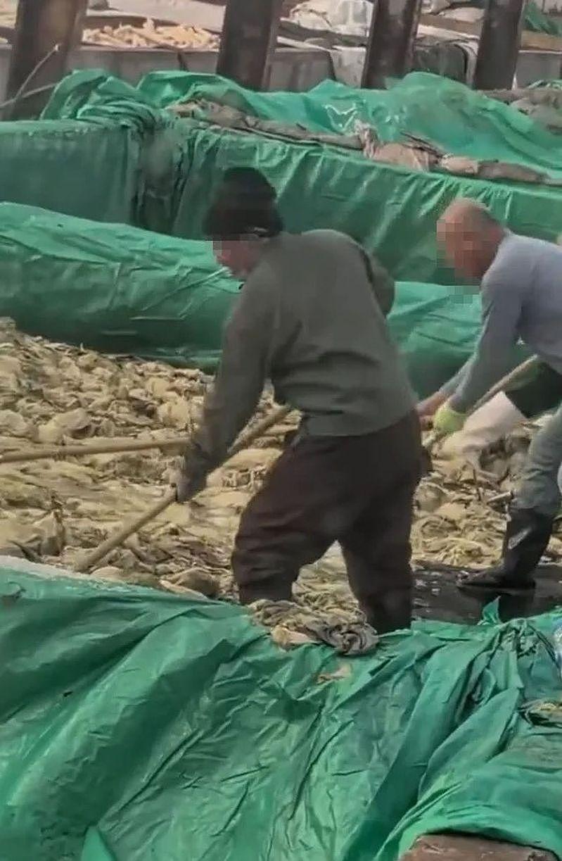 超恶心！辽宁酸菜工人边抽烟还乱吐，影片流出网炸锅（视频/组图） - 1