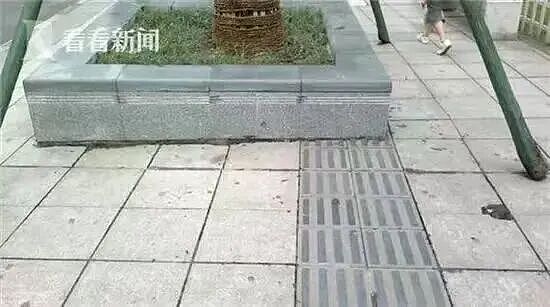 郑智化致歉上热搜！是否“连滚带爬”不该是重点（组图） - 17