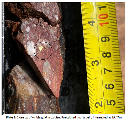 锂矿巨头Pilbara Minerals (ASX：PLS)季度营收大幅增长股价飙升 - 8
