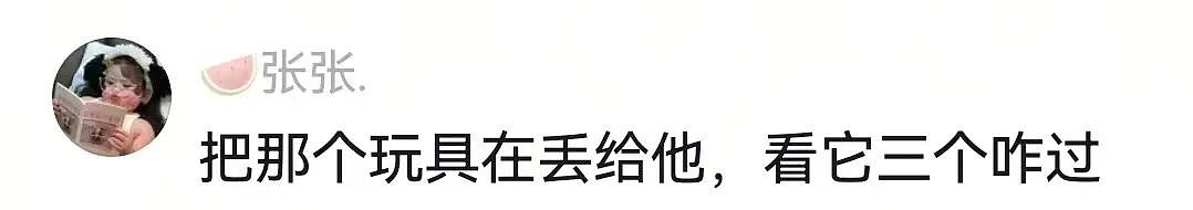 【宠物】主人在狗子生日当天将玩偶换成了好朋狗，狗子肉眼可见兴奋…网友们却眼红了：这是一个恐怖故事（组图） - 15