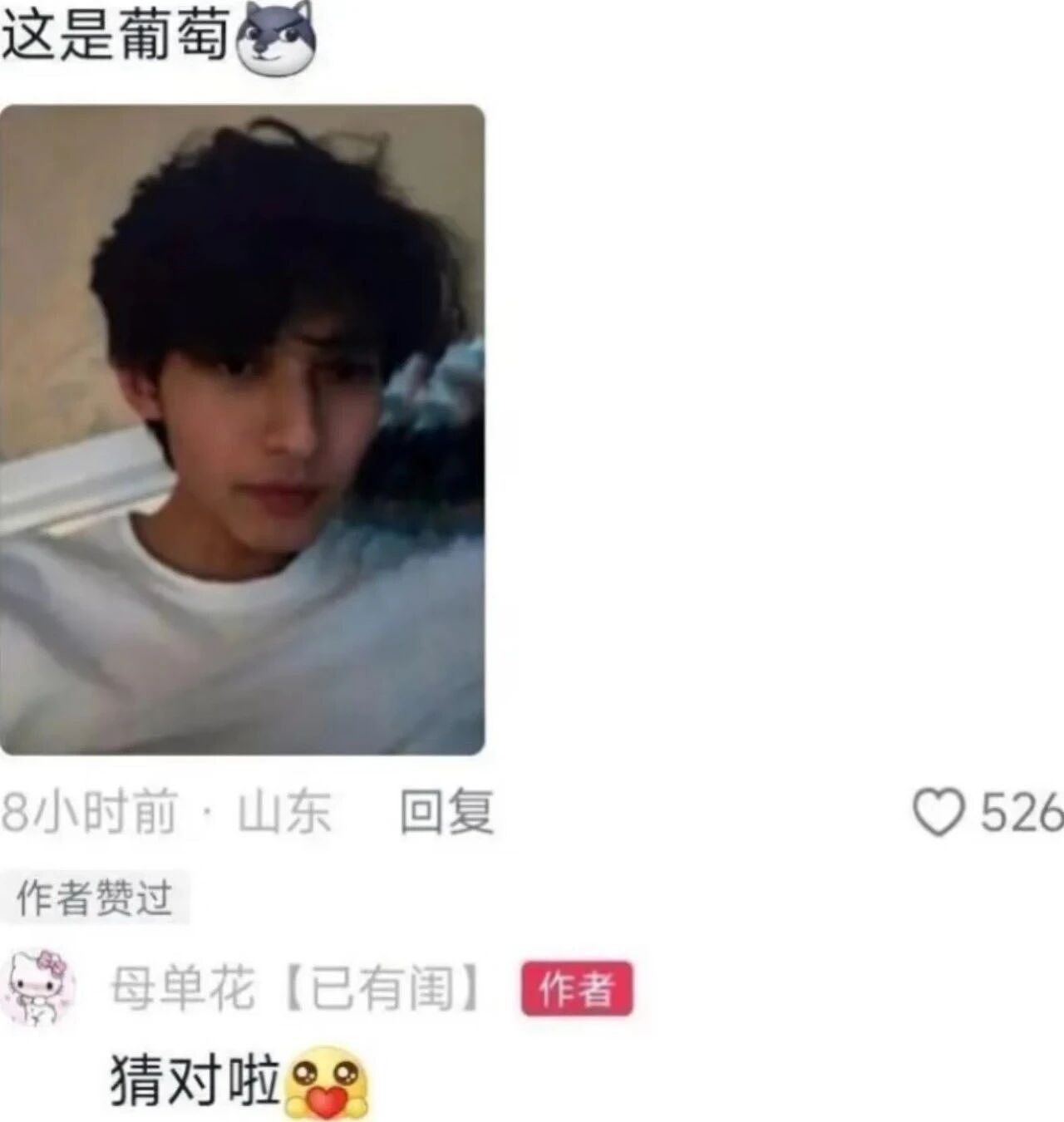 【爆笑】“网友的弱智发言能有多癫狂?” 哈哈哈哈哈哈哈哈笑得腹肌痛(组图) - 14