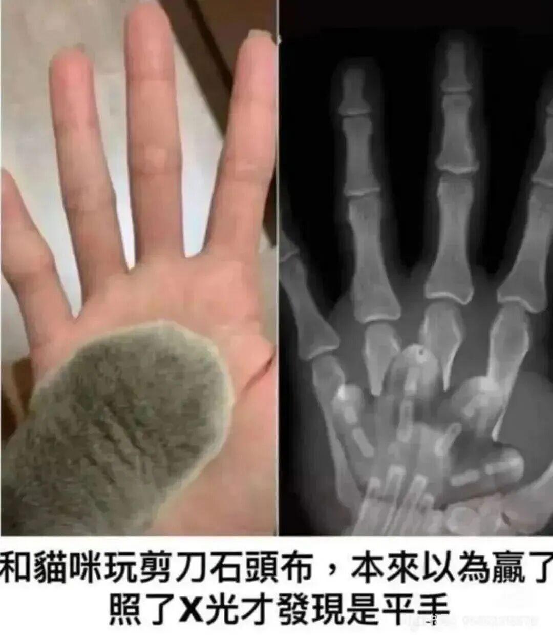 【爆笑】“当霸总遇上超绝婴儿手......” 哈哈哈哈哈哈性缩力满满啊（组图） - 84