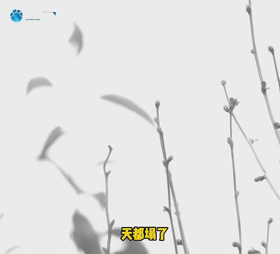 “天塌了，我一生都毁了”，男子称养了20年才发现儿子非亲生（组图） - 4