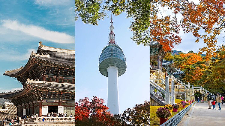 太丢人！20人来澳洲旅游，刚落地就“消失”了！澳洲华人热议：要不要举报黑民同胞？（组图） - 2