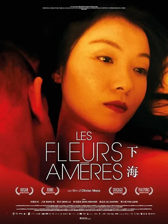 欧洲犯罪份子盯上中国妓女，掐脖子抢现金！中国妓女在欧洲的生存和收入状态调查（组图） - 6