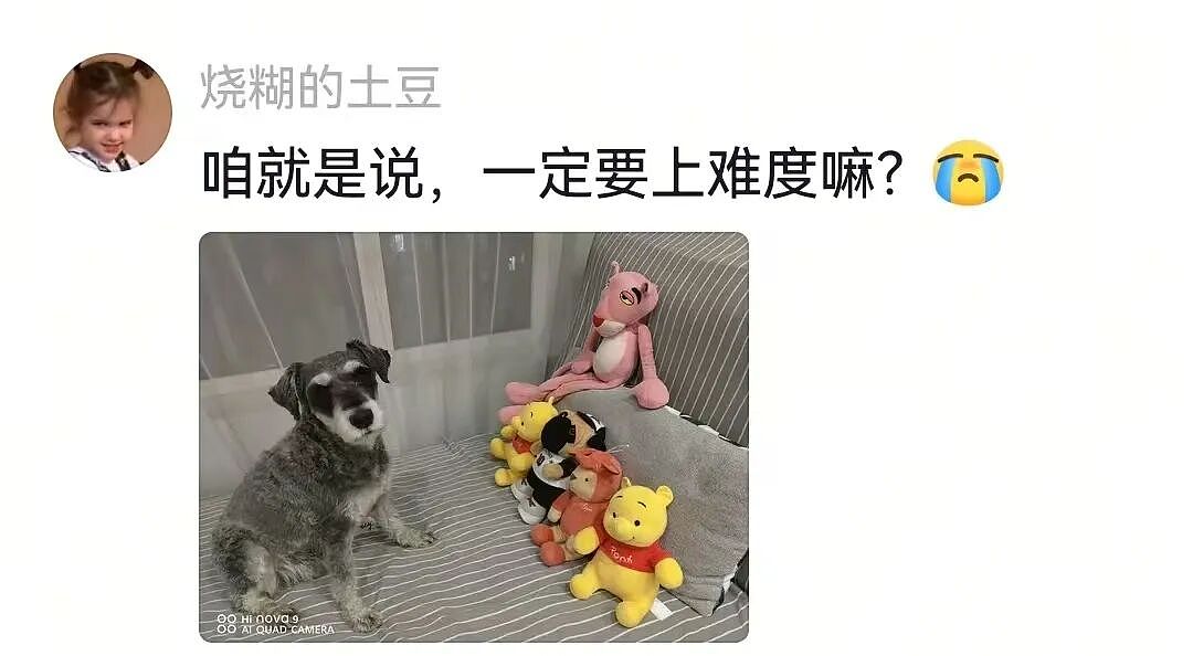 【宠物】主人在狗子生日当天将玩偶换成了好朋狗，狗子肉眼可见兴奋…网友们却眼红了：这是一个恐怖故事（组图） - 17