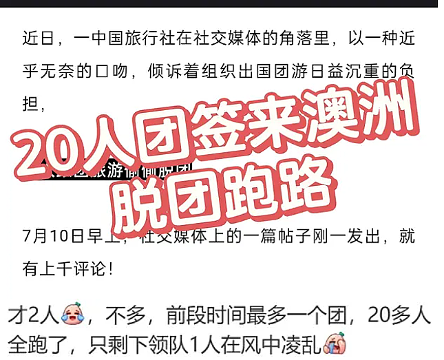 太丢人！20人来澳洲旅游，刚落地就“消失”了！澳洲华人热议：要不要举报黑民同胞？（组图） - 5