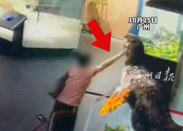 中国游客逛博物馆把手伸进恐龙模型，结果悲剧了（组图） - 2