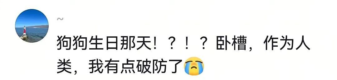 【宠物】主人在狗子生日当天将玩偶换成了好朋狗，狗子肉眼可见兴奋…网友们却眼红了：这是一个恐怖故事（组图） - 11