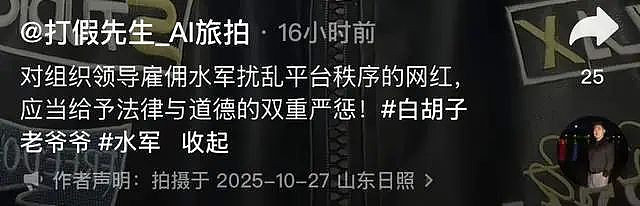 曝杜星霖“雇佣”水军投诉律师,聊天记录被曝(组图) - 3