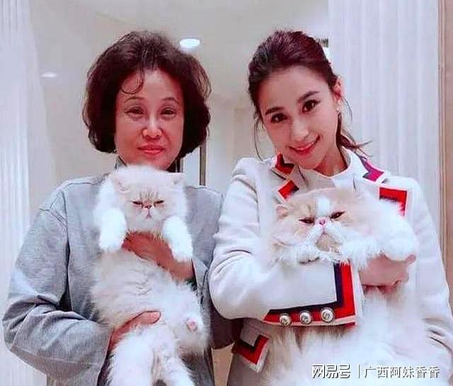 捅了马蜂窝！直到向太连夜删视频，才看清向家在香港的真实地位（组图） - 2