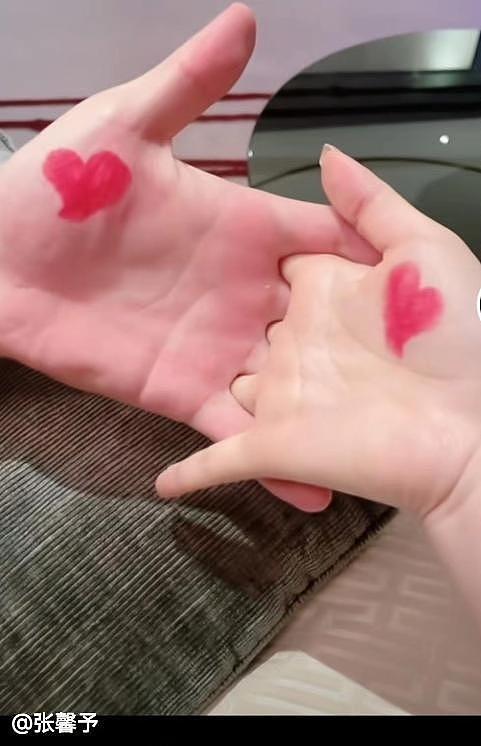 张馨予丈夫何捷:根正苗红,未想过娶女明星,我在婚姻中影响了她(组图) - 11