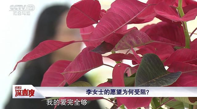 女子用亡夫胚胎求做试管二胎遭医院拒绝,法院终审改判(组图) - 3