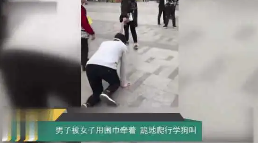 女生当“宠物”无条件服从“主人”命令学狗叫,模样清纯没想到反差这么大(组图) - 14