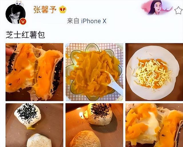 张馨予丈夫何捷:根正苗红,未想过娶女明星,我在婚姻中影响了她(组图) - 9