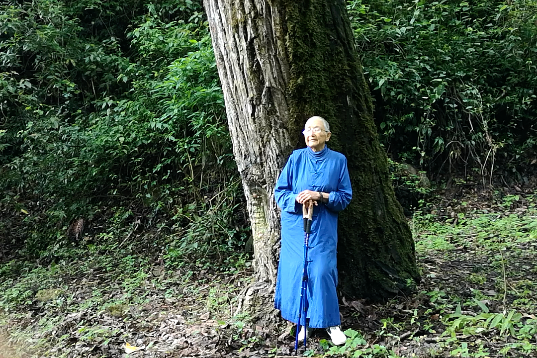 53岁拿博士，80岁出家，91岁在互联网火了：她活成一代传奇（组图） - 25